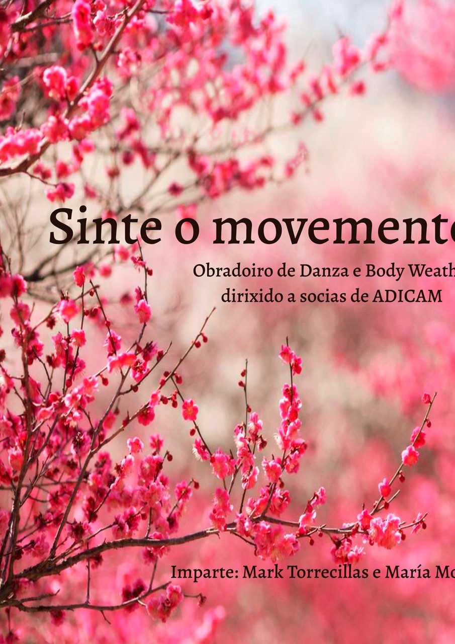 Sinte o movemento. Obradoiro ADICAM