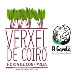 Verxel de Coiro